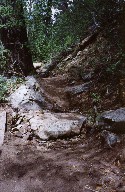 Conservation Work on the Middle Fork near Hunting Lodge